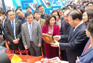 Kinh tế tập thể, HTX miền núi tạo khác biệt từ nông nghiệp hữu cơ