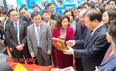 Kinh tế tập thể, HTX miền núi tạo khác biệt từ nông nghiệp hữu cơ