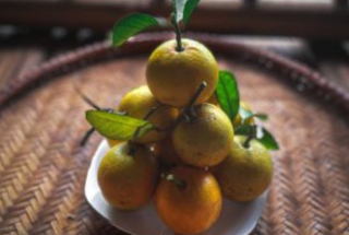 Hợp tác xã 3T Farm, mô hình kinh tế nông nghiệp tiêu biểu ở huyện Cao Phong, tỉnh Hòa Bình